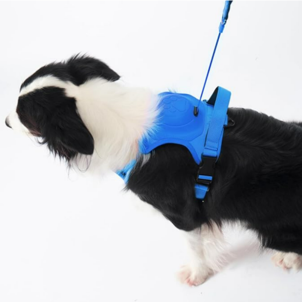 rnés para Perro Azul con Correa Retráctil - Talla L | Comodidad y Control en Cada Paseo - Imagen 4