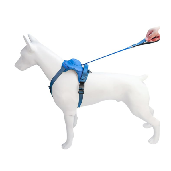 Arnés para Perro con Correa Retráctil – Azul, Talla M - Imagen 6