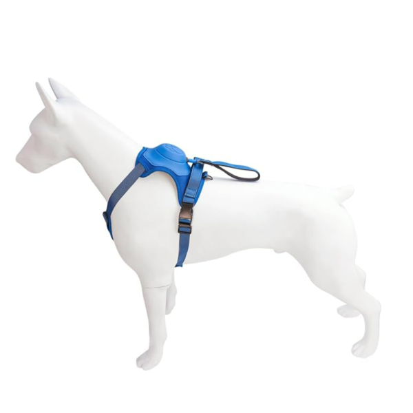 Arnés para Perro con Correa Retráctil – Azul, Talla M - Imagen 3