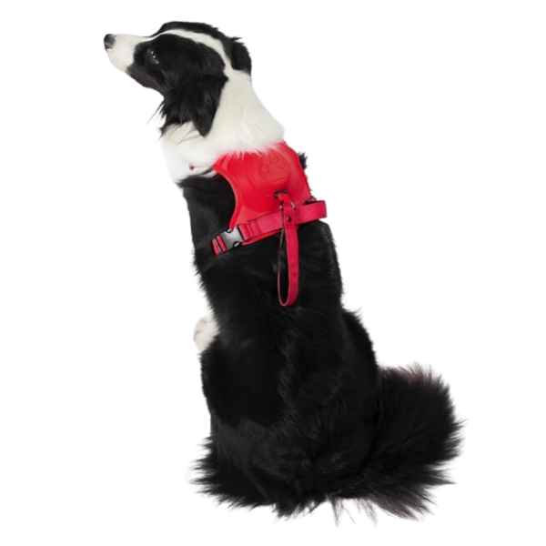 Arnés para Perro con Correa Retráctil Roja – Comodidad y Control en un Solo Diseño - Imagen 6