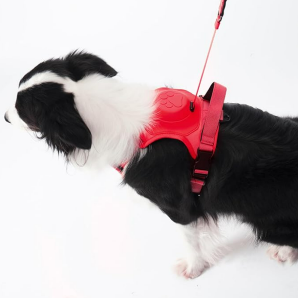 Arnés para Perro con Correa Retráctil Roja – Comodidad y Control en un Solo Diseño - Imagen 4