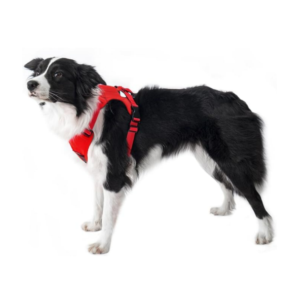 Arnés para Perro con Correa Retráctil Roja – Comodidad y Control en un Solo Diseño - Imagen 3